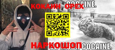 стафф Будённовск
