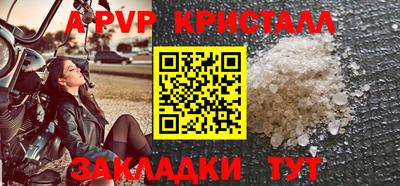 стафф Будённовск