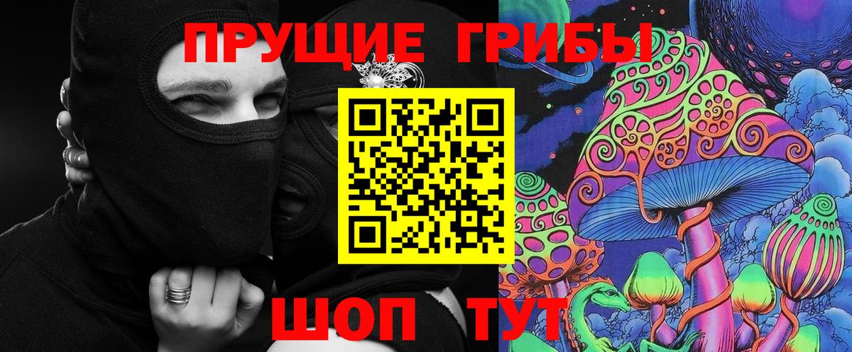 Костомукша  Псилоцибиновые грибы MAGIC MUSHROOMS  Вход с VPN 